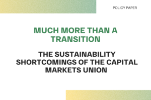 Read more about the article The sustainability shortcomings of the Capital Markets Union