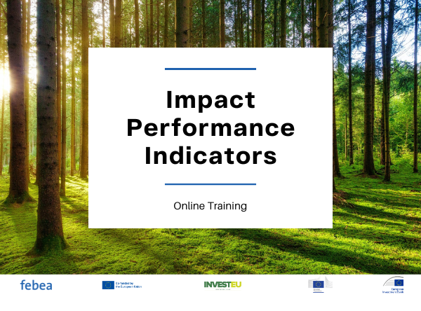 WEB_Impact_Performance_Indicators